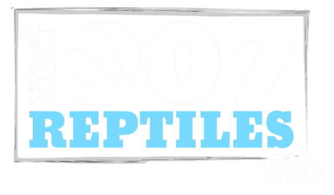 Het 907 Logo